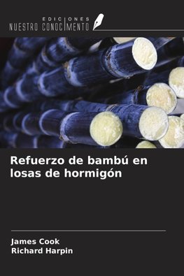 Refuerzo de bambú en losas de hormigón