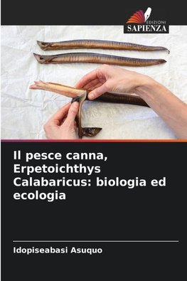Il pesce canna, Erpetoichthys Calabaricus: biologia ed ecologia