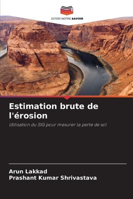 Estimation brute de l'érosion
