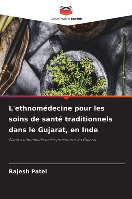 L'ethnomédecine pour les soins de santé traditionnels dans le Gujarat, en Inde