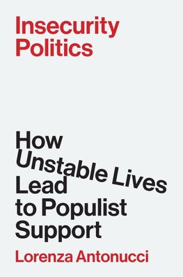Insecurity Politics