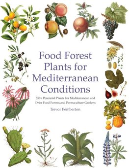 Food Forest Plants for Mediterranean Conditions