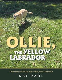 OLLIE, THE YELLOW LABRADOR
