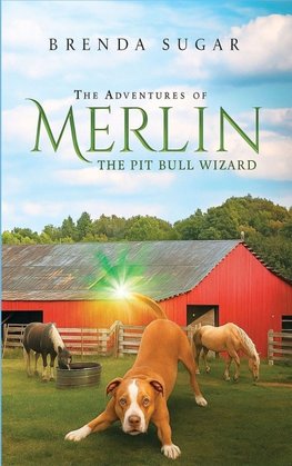 The Adventures of Merlin the Pit Bull Wizard