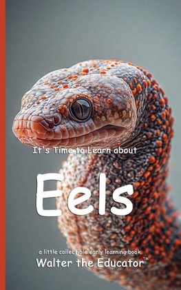 It's Time to Learn about Eels