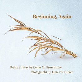 Beginning, Again