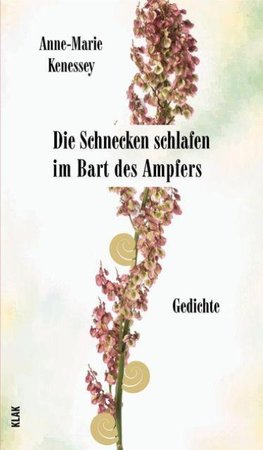 Die Schnecken schlafen im Bart des Ampfers