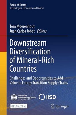 Downstream Diversification of Mineral-Rich Countries