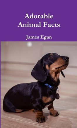 Adorable Animal Facts