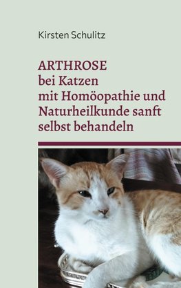Arthrose bei Katzen mit Homöopathie und Naturheilkunde sanft selbst behandeln