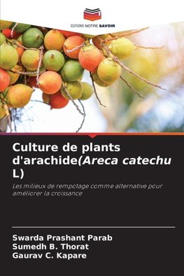 Culture de plants d'arachide(Areca catechu L)