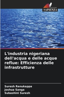 L'industria nigeriana dell'acqua e delle acque reflue: Efficienza delle infrastrutture