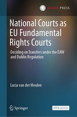 National Courts as EU Fundamental Rights Courts