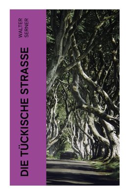 Die tückische Straße