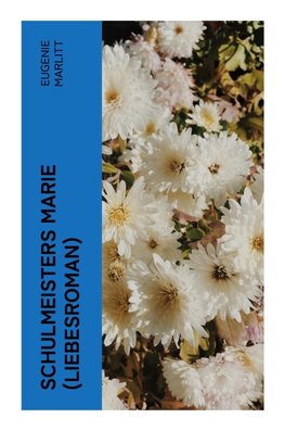 Schulmeisters Marie (Liebesroman)