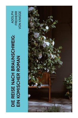 Die Reise nach Braunschweig: Ein komischer Roman