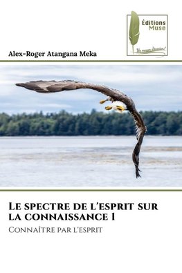 Le spectre de l'esprit sur la connaissance 1