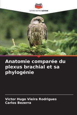 Anatomie comparée du plexus brachial et sa phylogénie