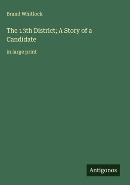 The 13th District; A Story of a Candidate