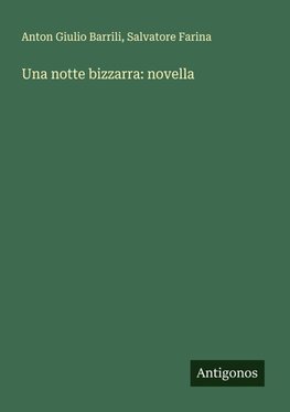 Una notte bizzarra: novella
