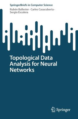 Topological Data Analysis for Neural Networks