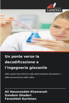 Un ponte verso la decodificazione e l'ingegneria giovanile