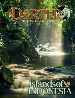 The Darter
