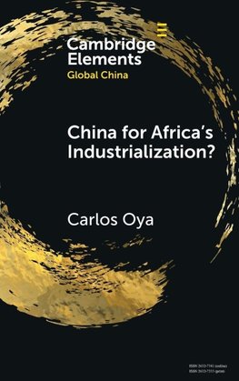 China for Africa's Industrialization?
