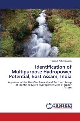 Identification of Multipurpose Hydropower Potential, East Assam, India