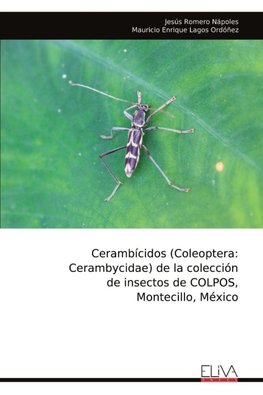 Cerambícidos (Coleoptera