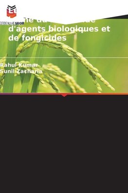 Lutte contre la tache brune du riz à l'aide d'agents biologiques et de fongicides