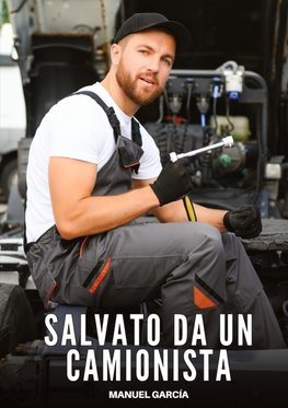 Salvato da un Camionista