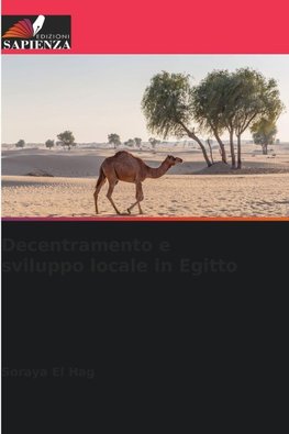 Decentramento e sviluppo locale in Egitto