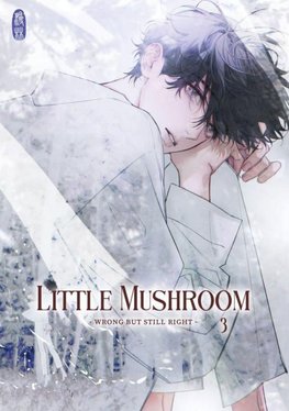 Little Mushroom - wrong but still right 3