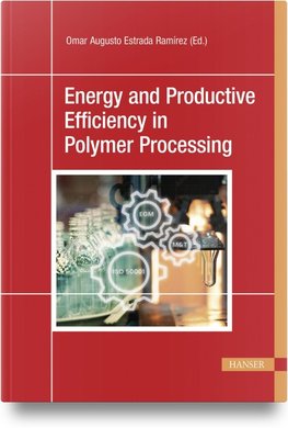 Energy and Productive Efficiency in Polymer Processing