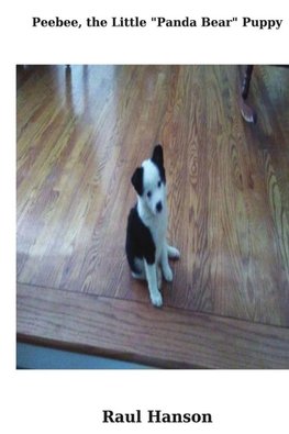 Peebee, the Little "Panda Bear" Puppy