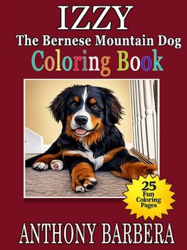 Izzy the Bernese Mountain Dog