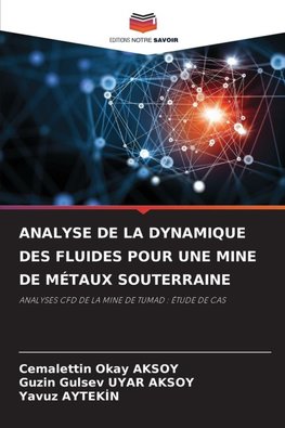 ANALYSE DE LA DYNAMIQUE DES FLUIDES POUR UNE MINE DE MÉTAUX SOUTERRAINE