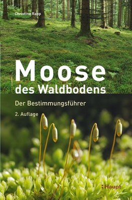 Moose des Waldbodens