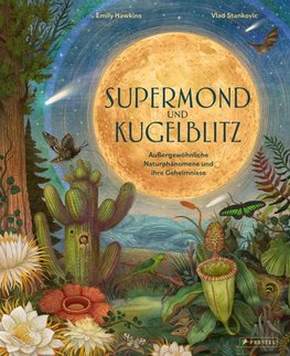 Supermond und Kugelblitz