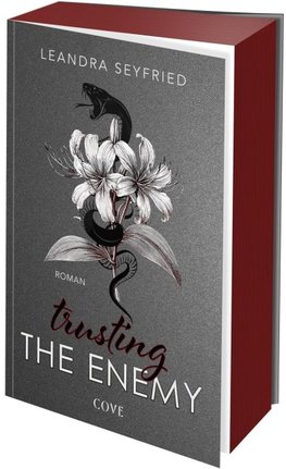 Trusting The Enemy (Sons of Chicago 2)