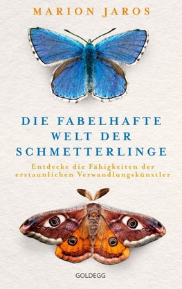 Die fabelhafte Welt der Schmetterlinge