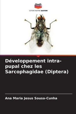 Développement intra-pupal chez les Sarcophagidae (Diptera)