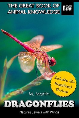 Dragonflies