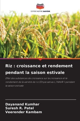 Riz : croissance et rendement pendant la saison estivale