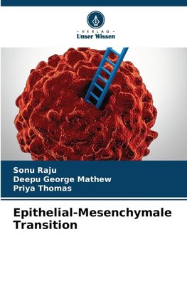 Epithelial-Mesenchymale Transition