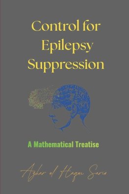 Control for Epilepsy Suppression