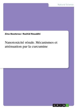 Nanotoxicité rénale. Mécanismes et atténuation par la curcumine