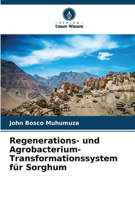 Regenerations- und Agrobacterium-Transformationssystem für Sorghum