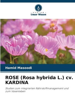 ROSE (Rosa hybrida L.) cv. KARDINA